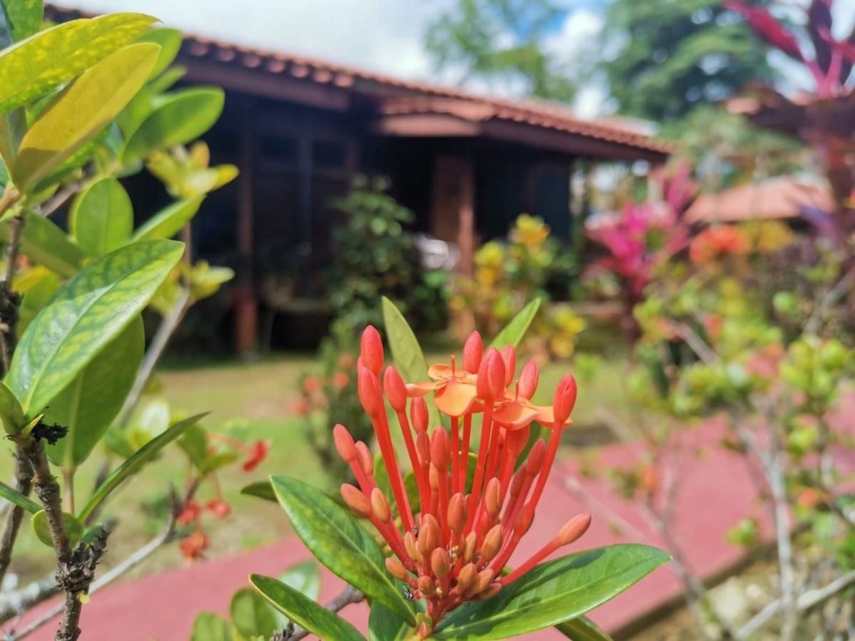 Hotel Canto De Ballenas Uvita Kültér fotó