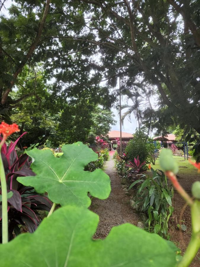 Hotel Canto De Ballenas Uvita Kültér fotó