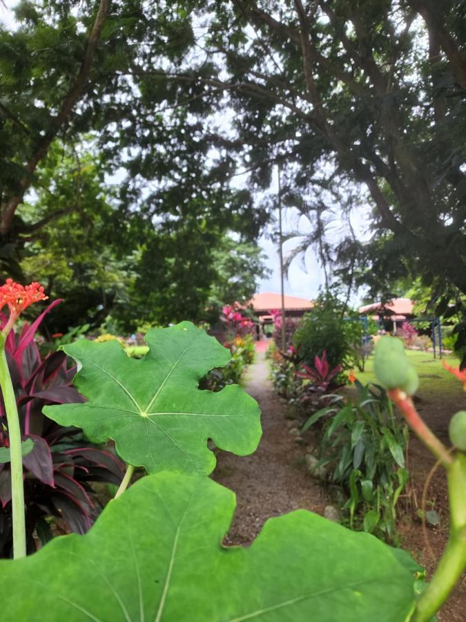 Hotel Canto De Ballenas Uvita Kültér fotó