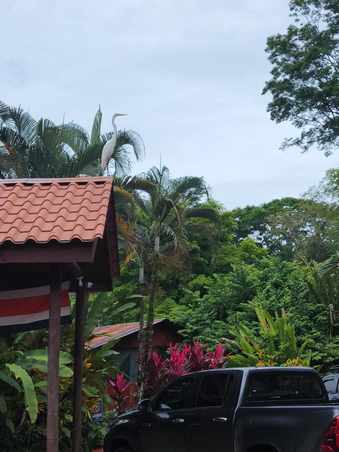 Hotel Canto De Ballenas Uvita Kültér fotó