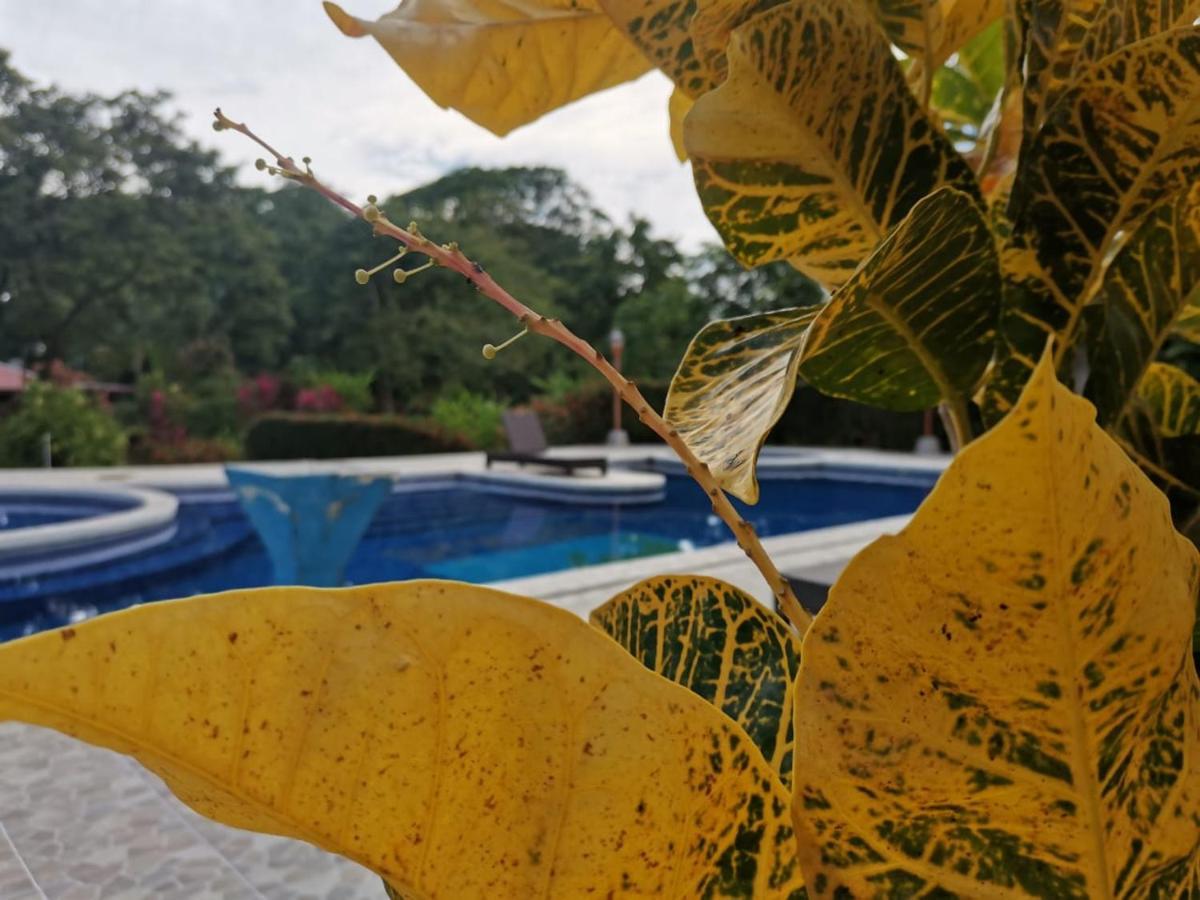 Hotel Canto De Ballenas Uvita Kültér fotó