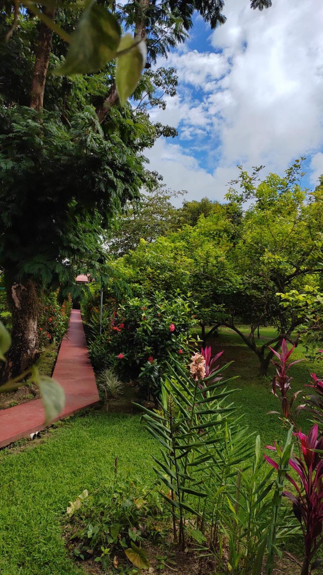 Hotel Canto De Ballenas Uvita Kültér fotó